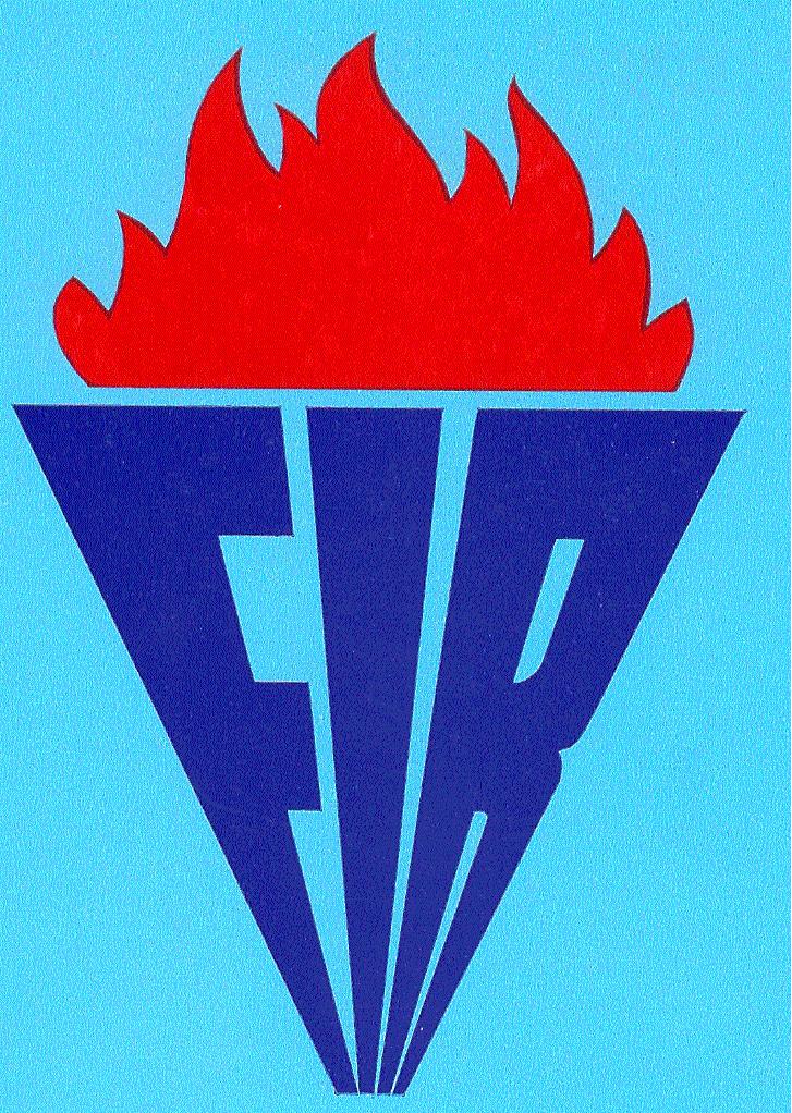 logo_fir.jpg